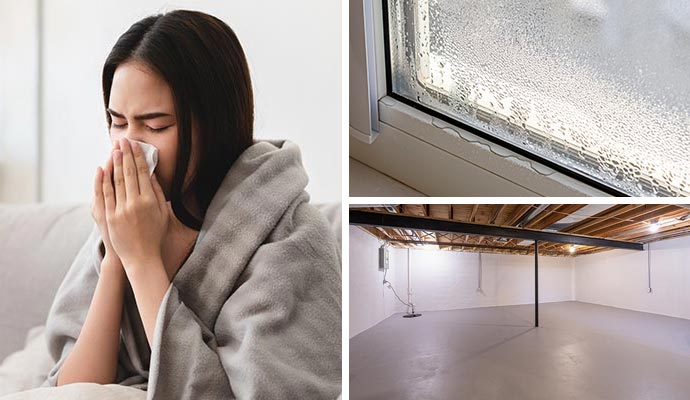 Collage of allergen issue, humidity issue and waterproofed basement