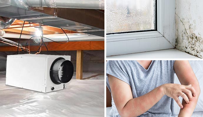 Collage of crawl space dehumidification, moldy wall, and person skin rash