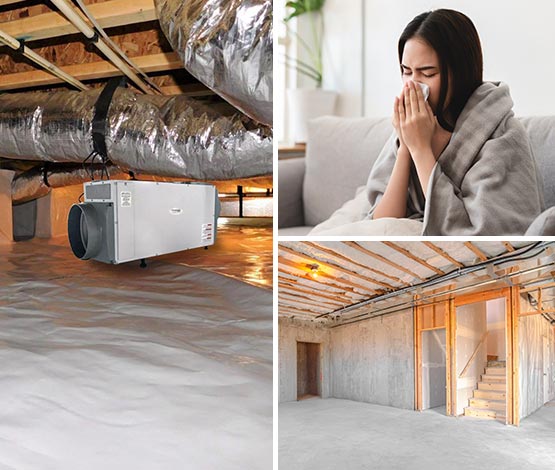 Collage of crawl space dehumidifiers, allergen issues and waterproofed basement Collage of crawl space dehumidifiers, a girl affected by allergens and a waterproofed basement
