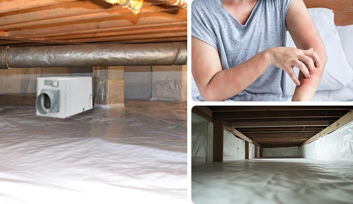 Collage of dehumidifier system, a girl affected by allergens and a waterproofed crawl space