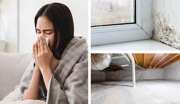 Collage of woman facing allergen issue, mold-damaged window corner and waterproofed crawl space