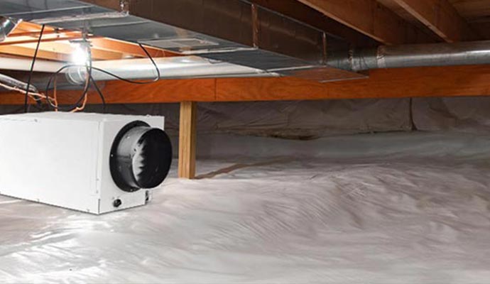 Moisture control service