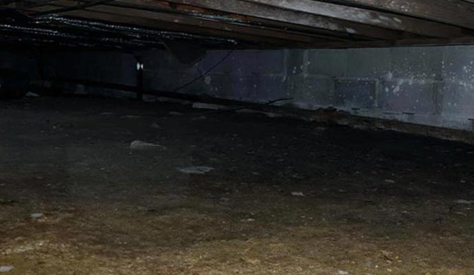 Crawl space with standing water causing moisture and mold risks
