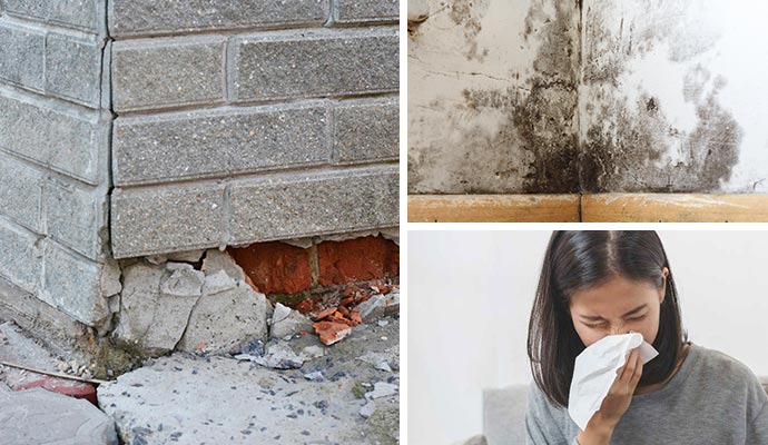 Collage of damaged foundation, mold damaged wall corner and person experiencing allergen problem