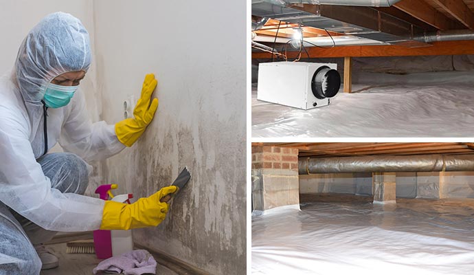 Collage of mold remediation, crawl space dehumidifier and encapsulated crawl space