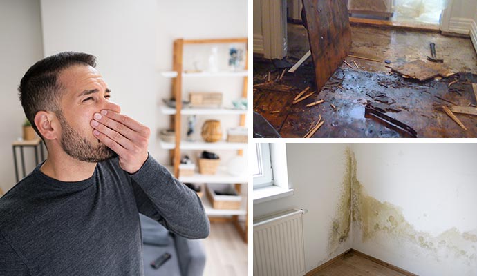 Collage of person experiencing odor problem, water damaged wooden floor and mold damaged wall corner