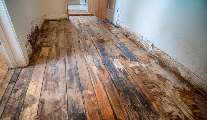Rotting wood floor in a hallway